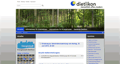 Desktop Screenshot of dietlikon.ch